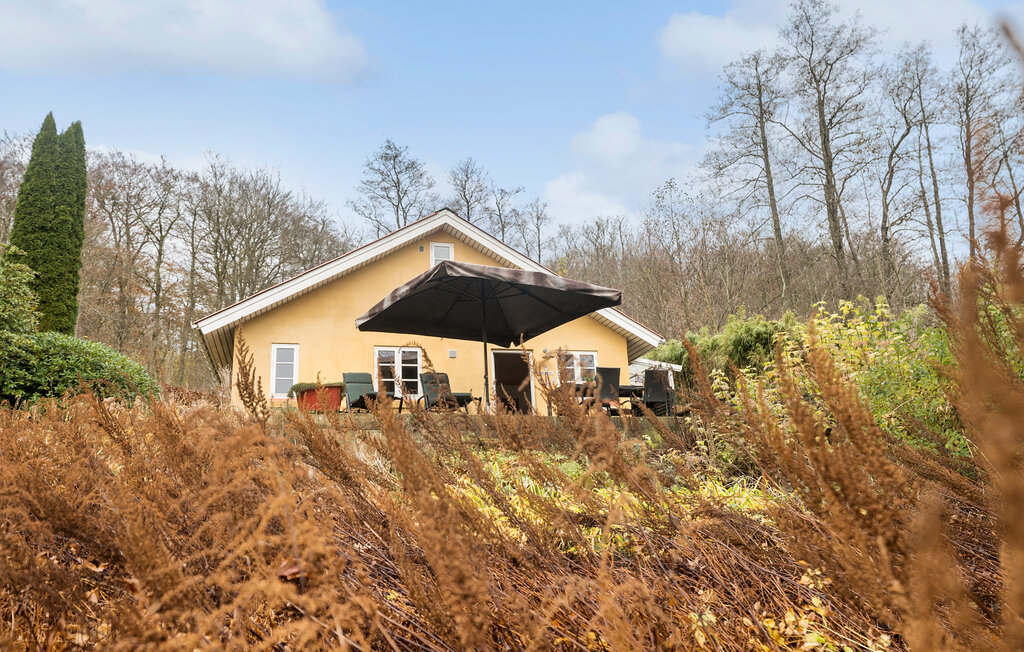 Kuća-za-odmor - Jelling , Danska - D89088 1