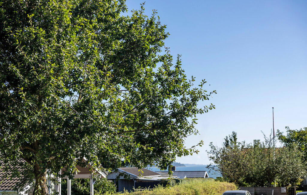 Ferienhaus - Mørkholt , Dänemark - D89512 13