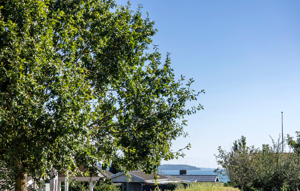 Ferienhaus - Mørkholt , Dänemark - D89512 14
