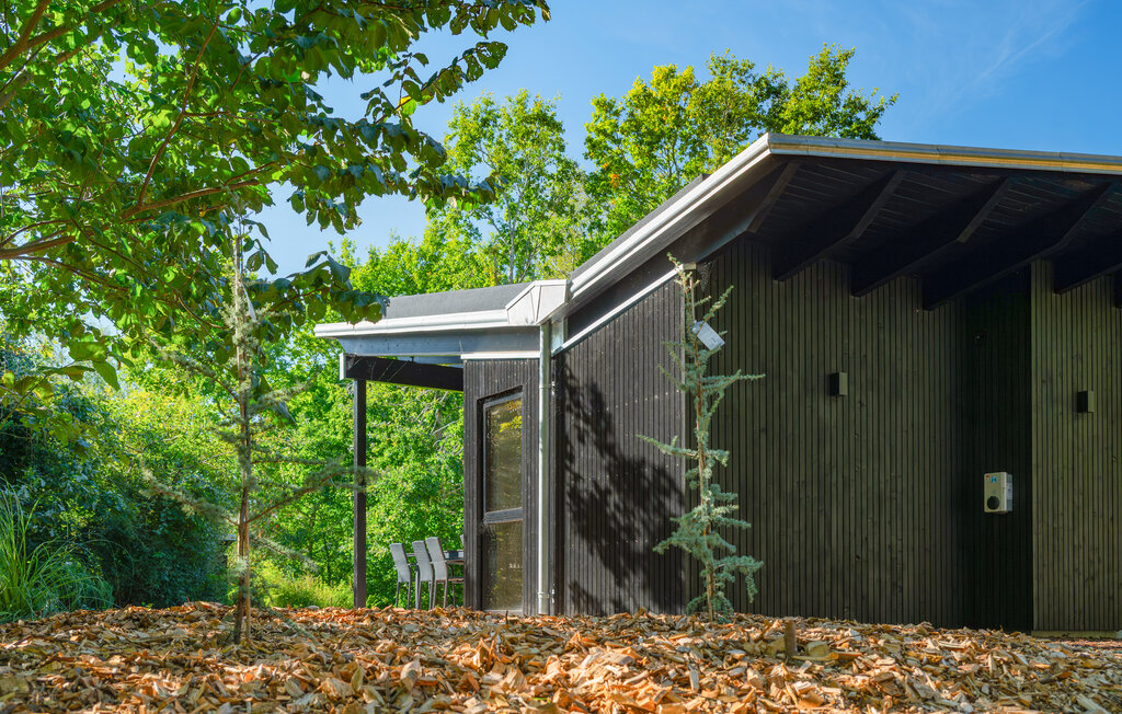 Feriehus - Hvidbjerg , Danmark - D89090 16