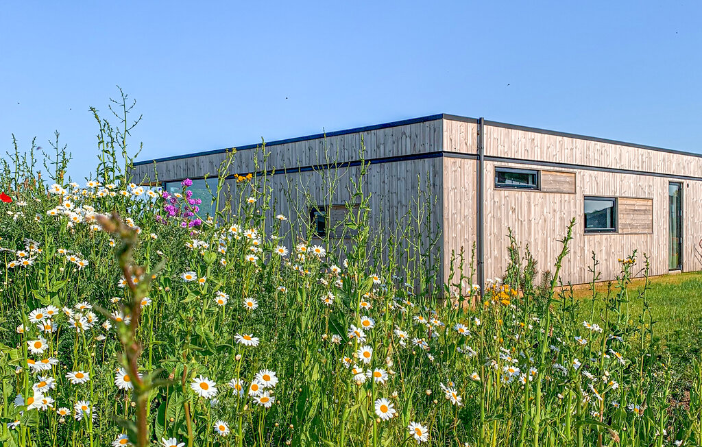 Feriehus - Hvidbjerg , Danmark - D89211 12