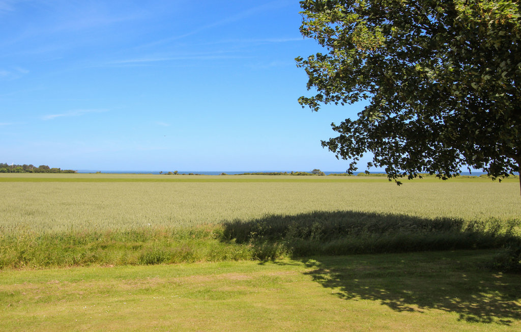 Feriehuse - Maarup , Danmark - D90131 2