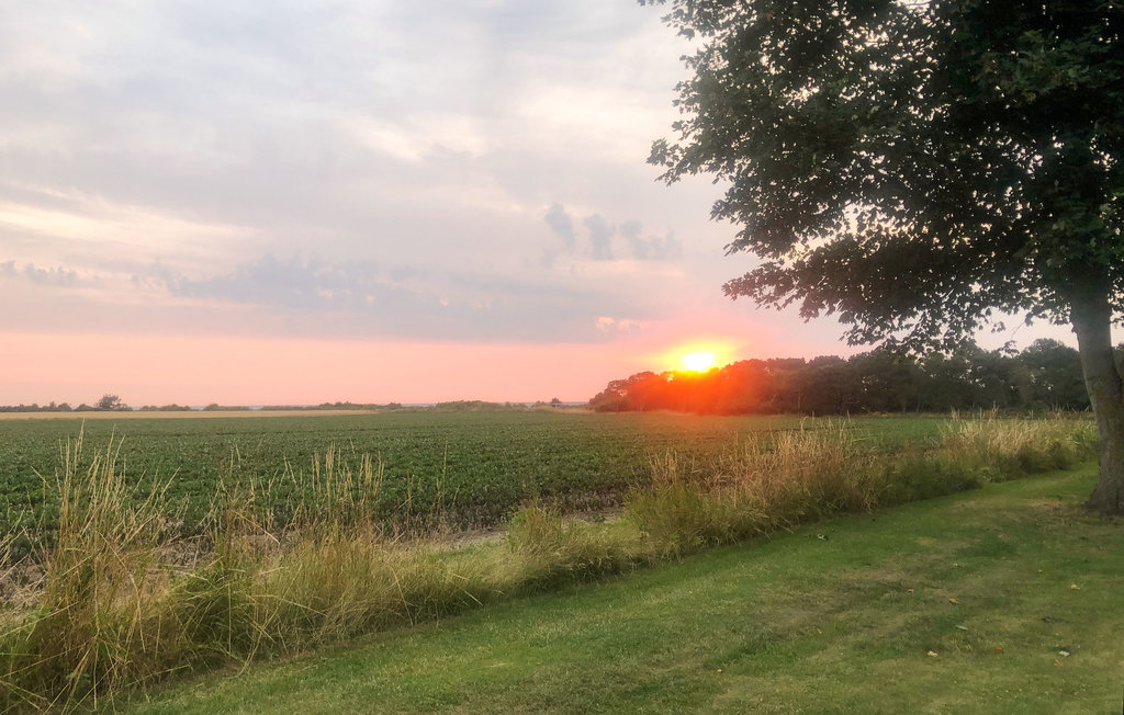 Feriehuse - Maarup , Danmark - D90131 16