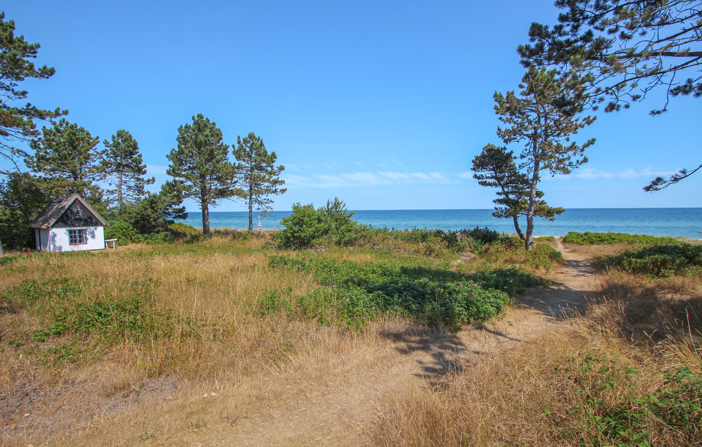 Feriehus - Maarup , Danmark - D90133 14