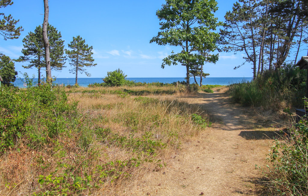 Feriehus - Maarup , Danmark - D90133 15