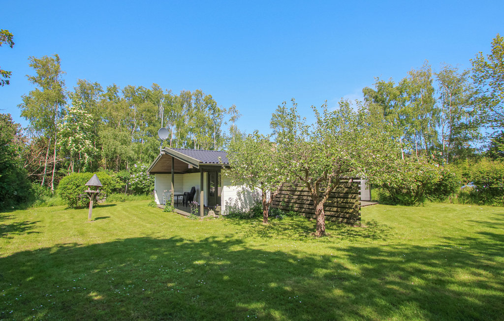 Feriehuse - Maarup , Danmark - D90130 9