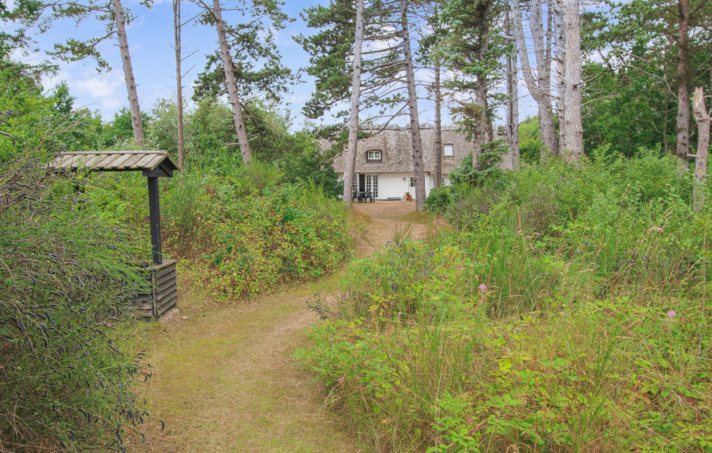 Feriehus - Maarup , Danmark - D90133 11