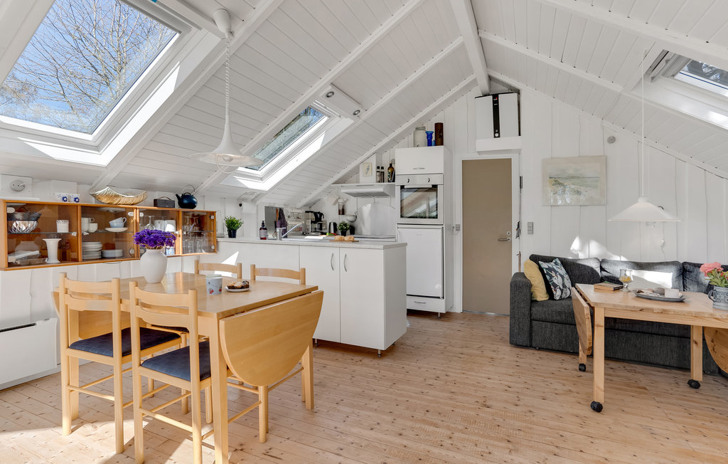 Ferienhaus - Samsø , Dänemark - D90117 17