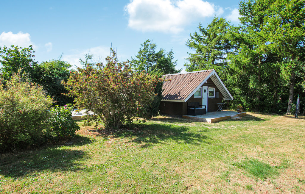 Feriehuse - Maarup , Danmark - D90119 8