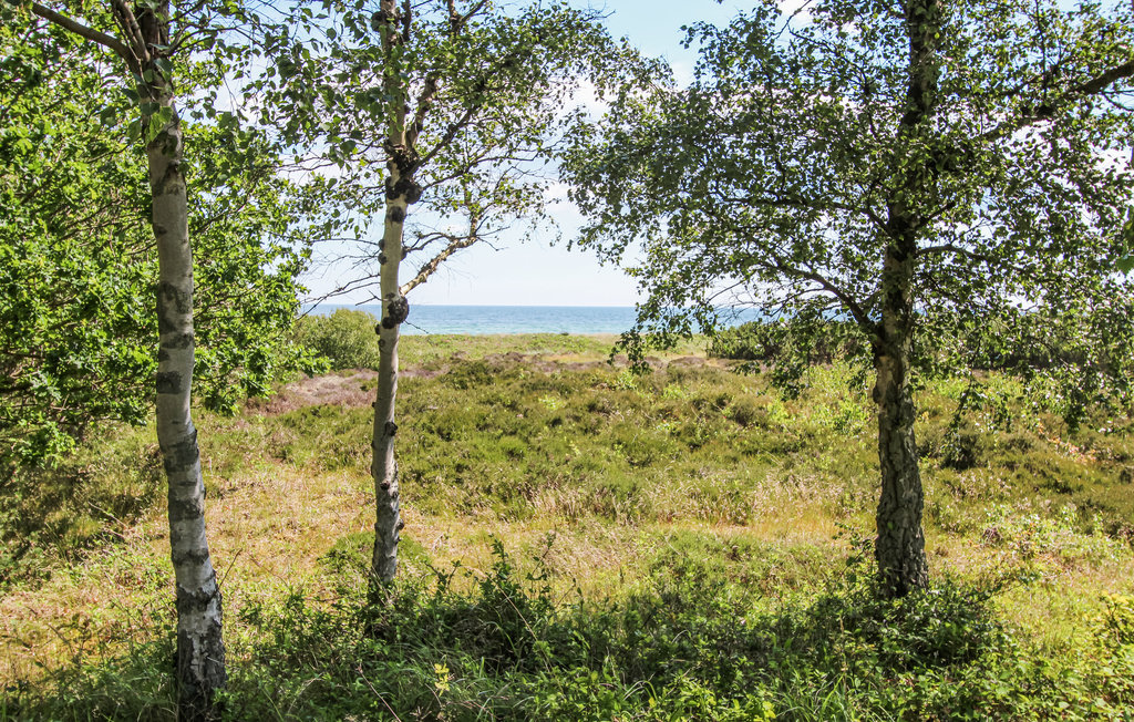 Feriehuse - Maarup , Danmark - D90260 10