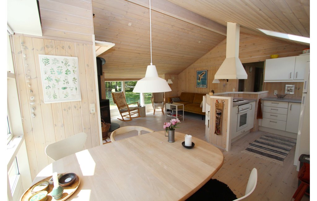 Feriehuse - Maarup , Danmark - D90253 5