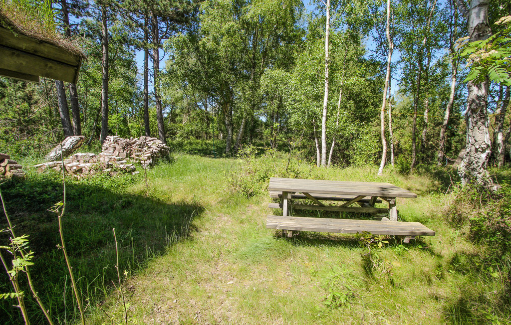 Feriehuse - Maarup , Danmark - D90261 9
