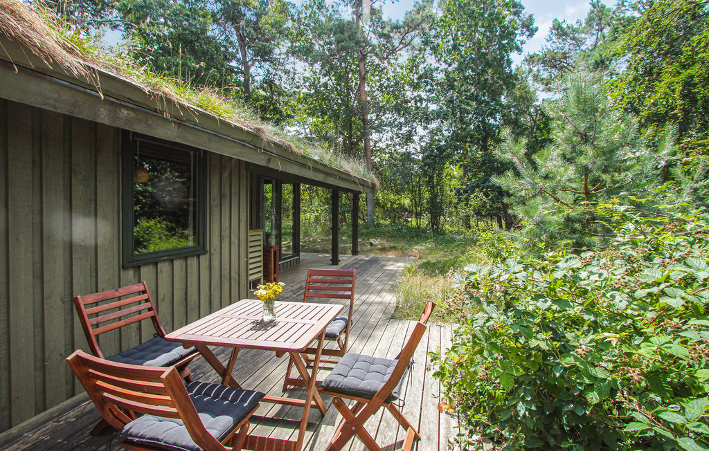 Feriehuse - Maarup , Danmark - D90259 7