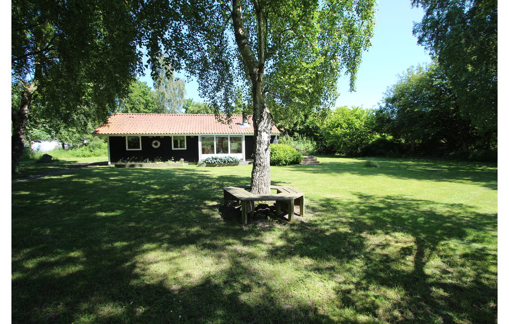 Feriehuse - Maarup , Danmark - D90253 9