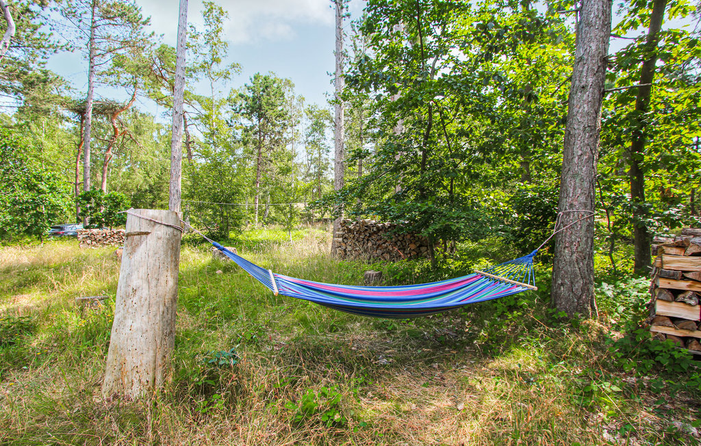 Feriehuse - Maarup , Danmark - D90259 9