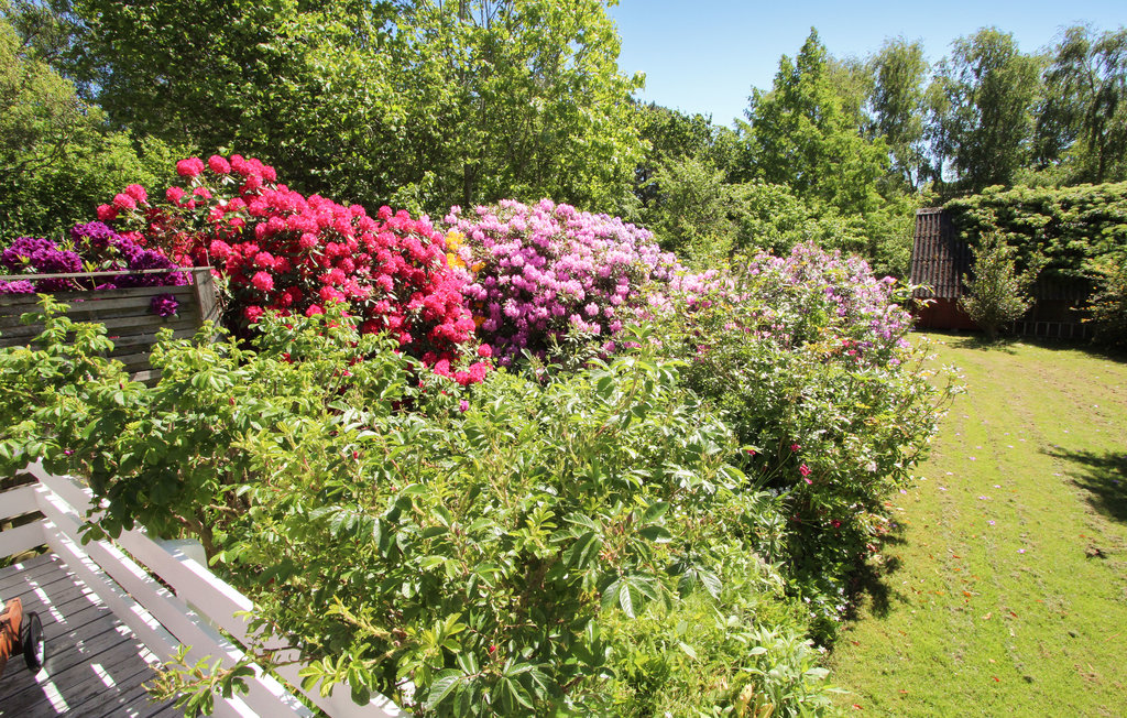 Feriehuse - Maarup , Danmark - D90247 11