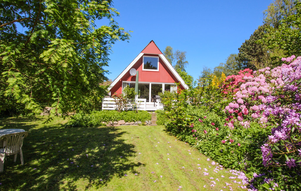 Feriehuse - Maarup , Danmark - D90247 9