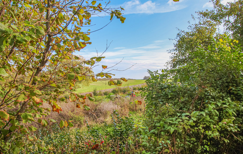 Feriehus - Samsø , Danmark - D90728 17