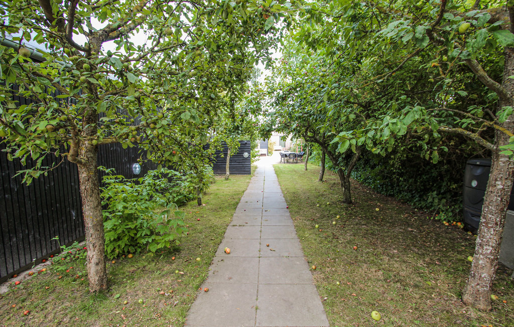 Feriehuse - Ballen , Danmark - D90621 20