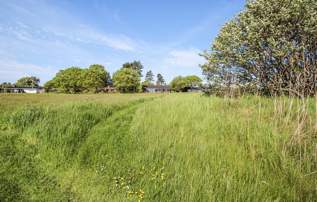 Feriehuse - Langemark , Danmark - D90620 15