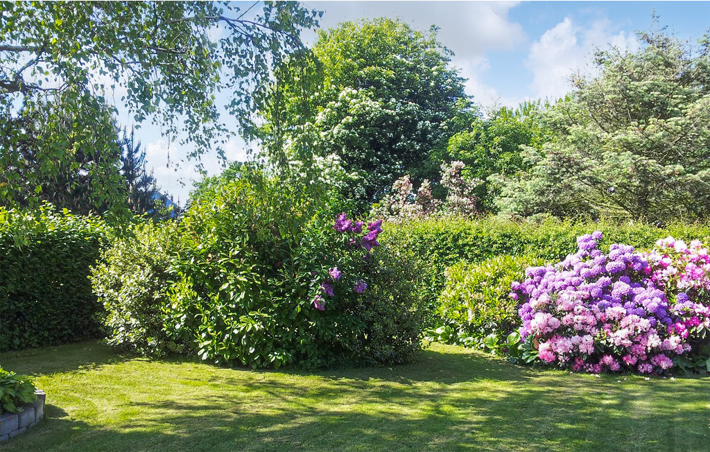 Feriehuse - Ballen , Danmark - D90629 9
