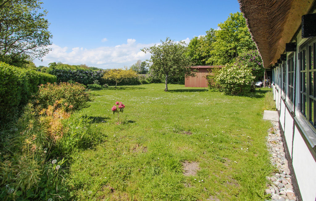 Feriehuse - Østerby , Danmark - D90706 7