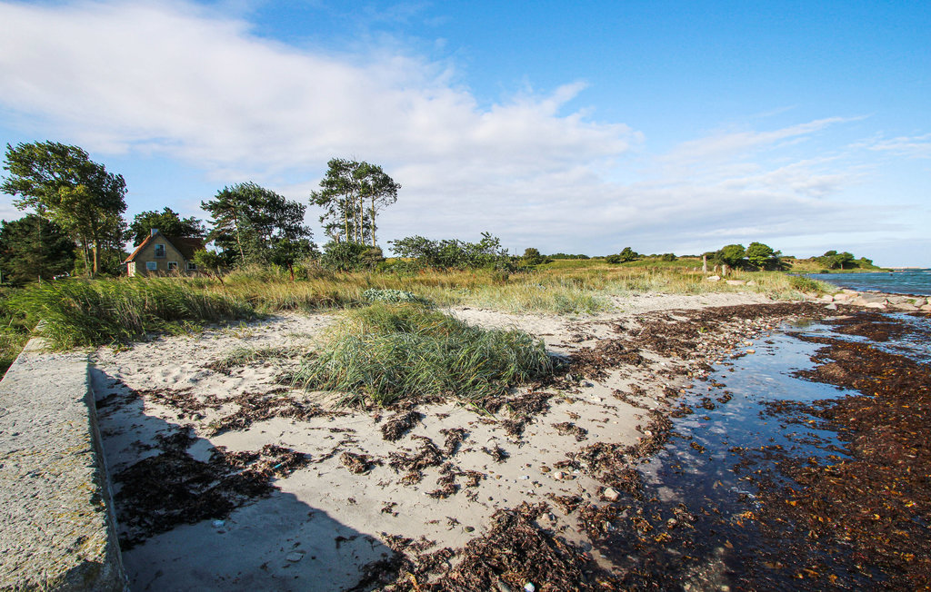 Semesterhus - Sælvig , Danmark - D90400 25