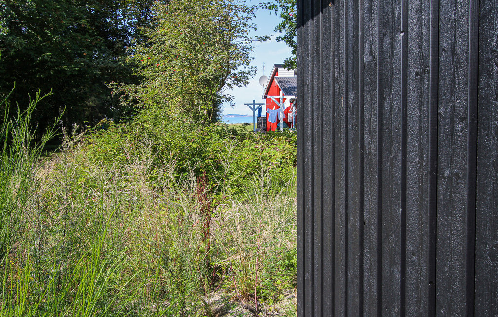 Feriehuse - Sælvig , Danmark - D90446 9