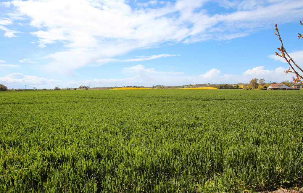 Feriehuse - Ballen , Danmark - D90604 8