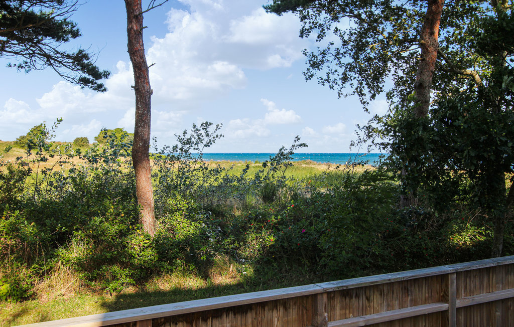 Semesterhus - Sælvig , Danmark - D90400 17