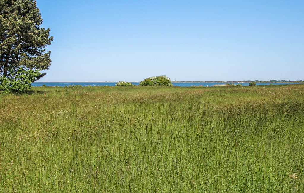 Feriehuse - Sælvig , Danmark - D90403 9