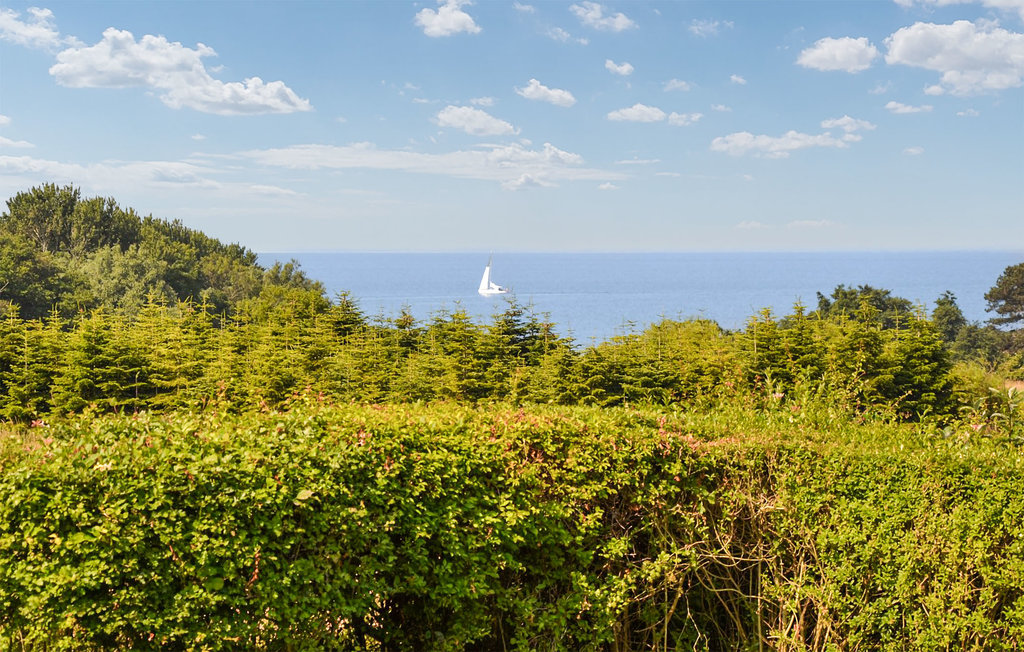 Feriehuse - Vesterløkken , Danmark - D90509 19