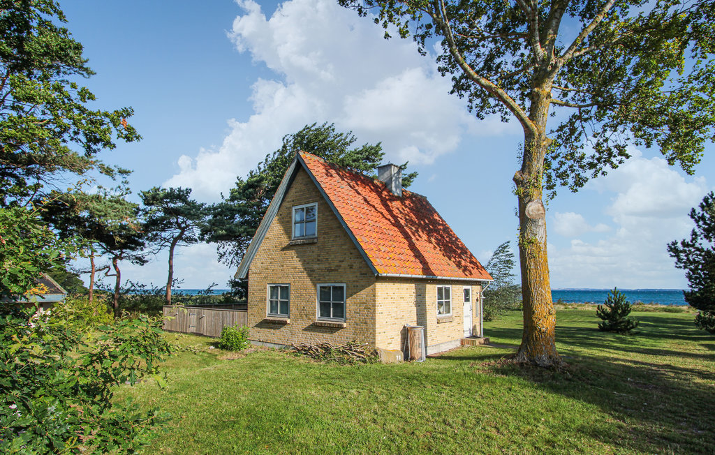 Semesterhus - Sælvig , Danmark - D90400 1