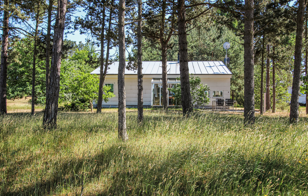 Feriehuse - Sælvig , Danmark - D90433 10