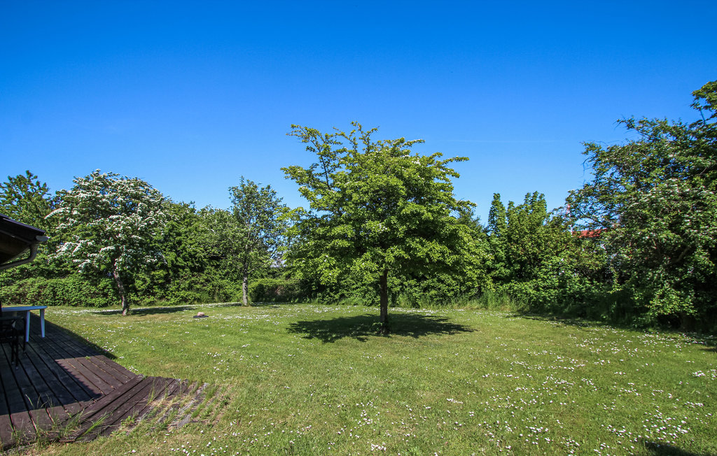 Feriehuse - Sælvig , Danmark - D90418 8