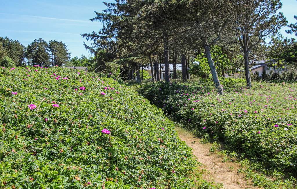 Feriehuse - Sælvig , Danmark - D90433 13
