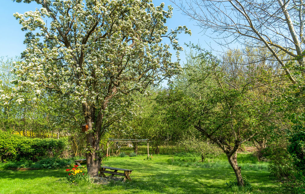 Ferienhaus - Kolby Kås , Dänemark - D90733 9