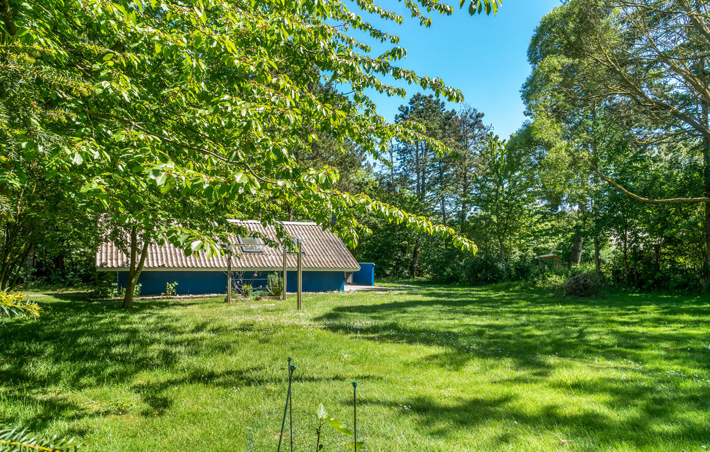 Ferienhaus - Samsø , Dänemark - D90117 11