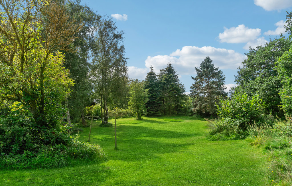 Feriehuse - Maarup , Danmark - D90238 9