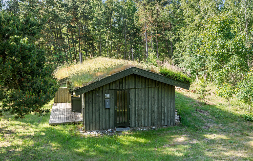Feriehuse - Maarup , Danmark - D90212 10