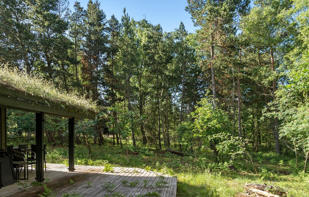 Feriehuse - Maarup , Danmark - D90212 11