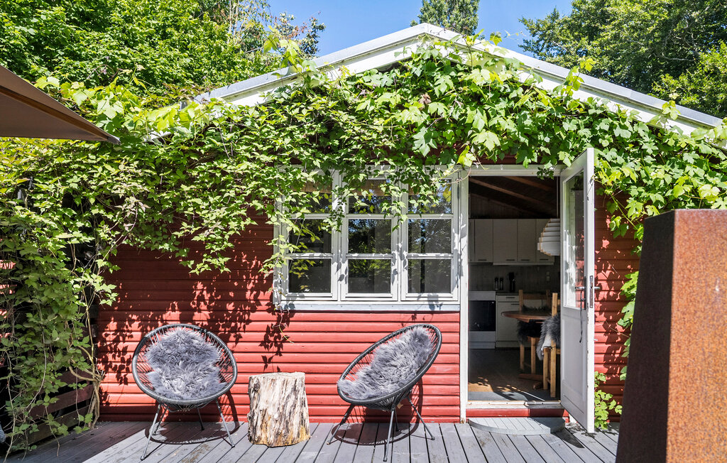 Domy wakacyjne - Maarup , Dania - D90068 2