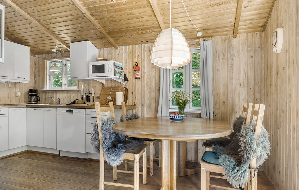 Domy wakacyjne - Maarup , Dania - D90068 7