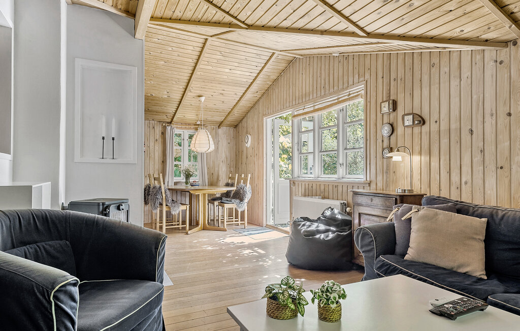 Domy wakacyjne - Maarup , Dania - D90068 3