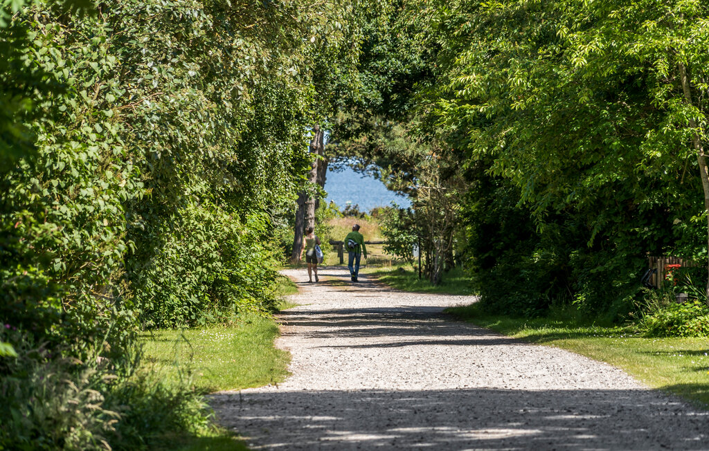 Feriehus - Maarup , Danmark - D90270 9