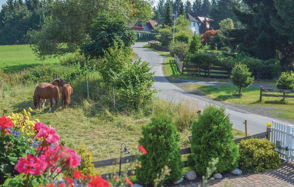 Feriehus - Braunlage , Tyskland - DAN106 13