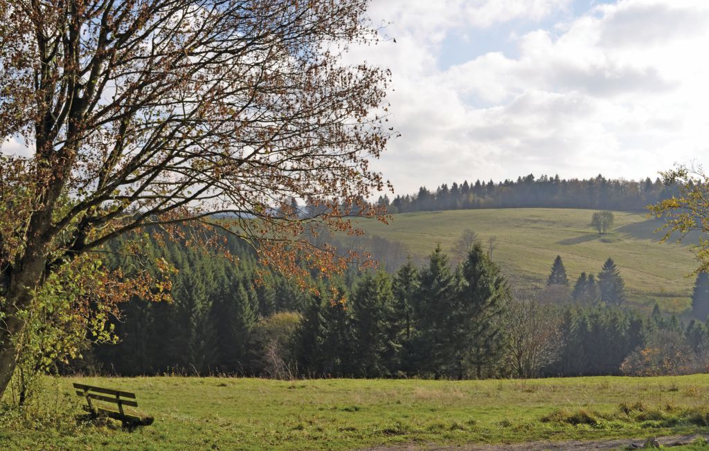 Ferienhaus - St.Andreasberg/Oberharz , Deutschland - DAN952 8