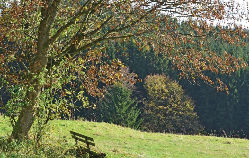 Feriehus - St.Andreasberg/Oberharz , Tyskland - DAN940 5