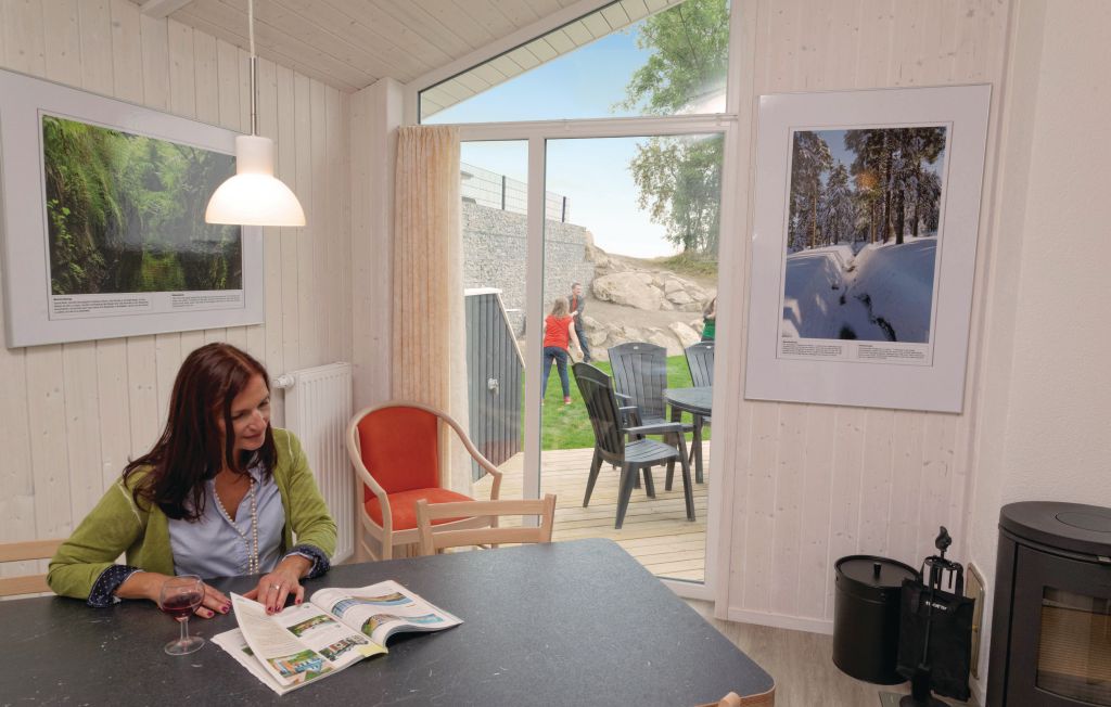 Feriehus - St.Andreasberg/Oberharz , Tyskland - DAN918 2