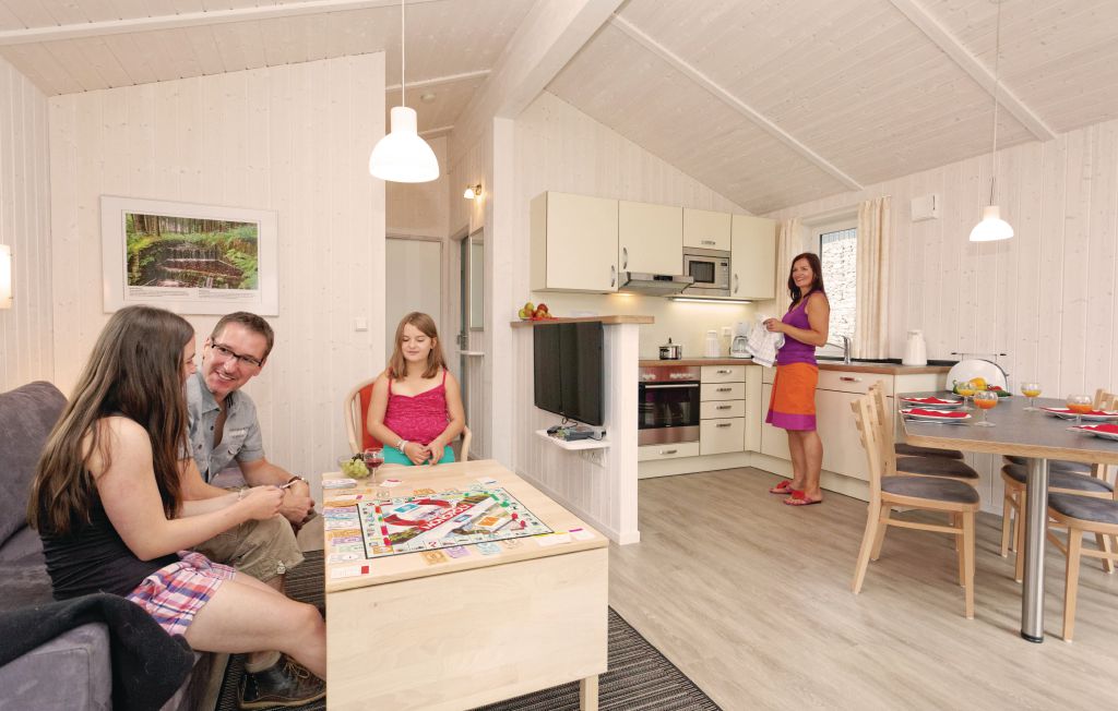 Ferienhaus - St.Andreasberg/Oberharz , Deutschland - DAN952 10